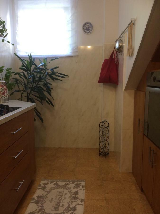 Apartman Vitis ドゥブロブニク エクステリア 写真